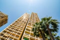 Monte Carlo, Monaco - June 21, 2018. High tower view with palm