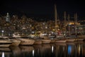 Monte Carlo and Port Hercules in the night Royalty Free Stock Photo