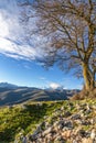 Monte Cinto from Col de San Colombano in Corsica Royalty Free Stock Photo