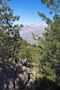 Monte Cinto peak seen from Cavallo Morto forest in Corsica Royalty Free Stock Photo