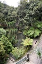 Monte Palace Green Tropical Gardens Walkways Royalty Free Stock Photo