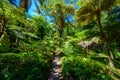 Monte Palace - Tropical Garden with Waterfalls, Lakes and traditional buildings above the city of Funchal - popular tourist Royalty Free Stock Photo