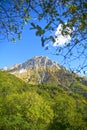 Monte Pania of the Cross