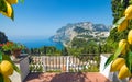 Monte Solaro on Capri Island, Italy. Ripe yellow lemons in foreground Royalty Free Stock Photo
