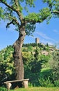 Montecatini near Volterra ,Tuscany,Italy