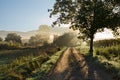 Montefiascone, Viterbo, Lazio, Italy: autumnal landscape of the countryside near the lake Bolsena in autumnal foggy dawn