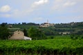 Monteforte d`Alpone hilltop village vineyards Veneto Italy Royalty Free Stock Photo