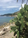 Dream, sea, landscape, rocks, Bay, sky, sun, Mediterranean sea, Montenegro