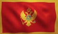 Montenegro Flag