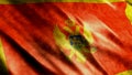 Montenegro National Flag Grunge