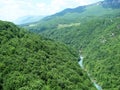 Montenegro. The nature reserve near the town of Zabljak. Tara River Canyon. Royalty Free Stock Photo