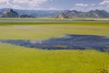 Montenegro, Skadarsko lake