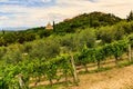 Montepulciano in the region of Siena in Italy Royalty Free Stock Photo