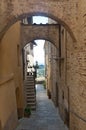 Montepulciano (Siena)