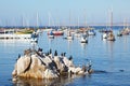 Monterey Royalty Free Stock Photo