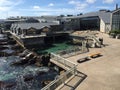 Monterey Bay Aquarium Royalty Free Stock Photo