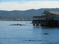 Monterey Bay Aquarium