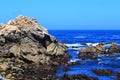 Monterey Bay Coast Royalty Free Stock Photo