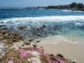 Monterey Bay surfers Royalty Free Stock Photo