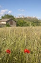 Monteriggioni countryside, Tuscany Italy Royalty Free Stock Photo