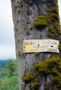 MONTEROS, TUCUMAN, ARGENTINA - MARCH 19, 2019: Old advertising sign on a tree in route 307 from San Miguel de Tucuman to Tafi del