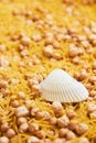 Montessory sensory texture experimentation in school Royalty Free Stock Photo