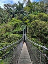 Monteverde Cloud Forest Reserve, hanging, suspended bridge, treetop canopy views, Costa Rica Royalty Free Stock Photo