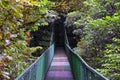 Monteverde Cloud Forest Reserve, hanging, suspended bridge,  treetop canopy views, Costa Rica Royalty Free Stock Photo