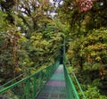 Monteverde Cloud Forest Reserve, hanging, suspended bridge,  treetop canopy views, Costa Rica Royalty Free Stock Photo