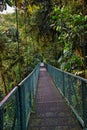 Monteverde Cloud Forest Reserve, hanging, suspended bridge,  treetop canopy views, Costa Rica Royalty Free Stock Photo