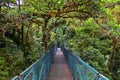 Monteverde Cloud Forest Reserve, hanging, suspended bridge,  treetop canopy views, Costa Rica Royalty Free Stock Photo