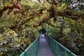 Monteverde Cloud Forest Reserve, hanging, suspended bridge,  treetop canopy views, Costa Rica Royalty Free Stock Photo