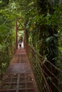 A visitor crosses a suspension bridge in Monteverde Cloud Forest Reserve. Royalty Free Stock Photo