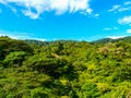 Monteverde national park