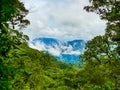 Monteverde national park