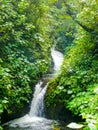 Monteverde national park