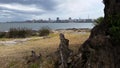 Coast And Montevideo City View