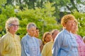 Tai Chi Seniors Standing Before Presentation Royalty Free Stock Photo