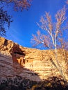 Montezuma Castle Royalty Free Stock Photo