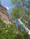 Montezuma castle