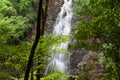 Montezuma waterfall in Costa Rica