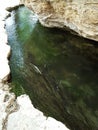 Montezuma well Royalty Free Stock Photo