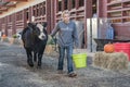 Girl leads show steer