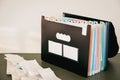 12-Month Accordion File Organizer, Monthly Document Filing System