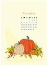 The month calendar November 2018, the leaves yellow and branches, pumpkins and squash, harvest