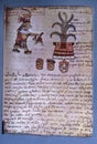 Month Huey Tozoztli of Aztec calendar. Codex Tudela