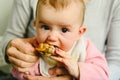4 month old baby nibbling a chicken leg, tasting his first foods using the method of Baby led weaning BLW Royalty Free Stock Photo