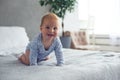 8 month old happy baby boy crawling on bed at home Royalty Free Stock Photo