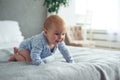 8 month old happy baby boy crawling on bed at home Royalty Free Stock Photo
