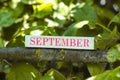 The month September printed on a wooden block lying on a tree branch